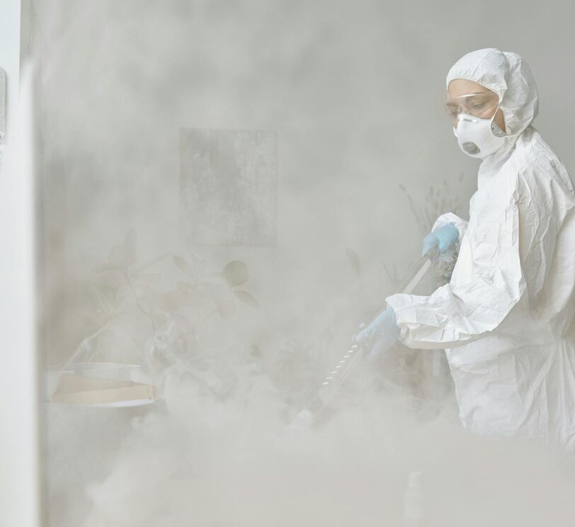 Pulizia delle <strong>camere bianche nell'industria alimentare</strong>: cosa sapere