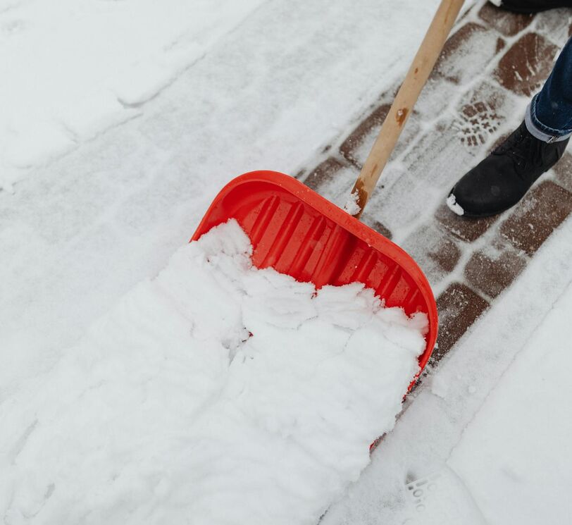 <strong>Spargere il sale sulla neve</strong>: serve davvero?