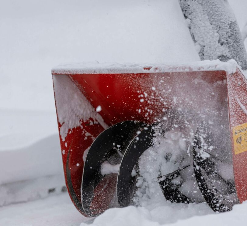 <strong>Spargere il sale sulla neve</strong>: serve davvero?